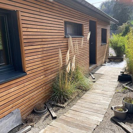 Joli Logement Avec Terrasse La Cigale 6 A 8 Personnes Orbey Zewnętrze zdjęcie