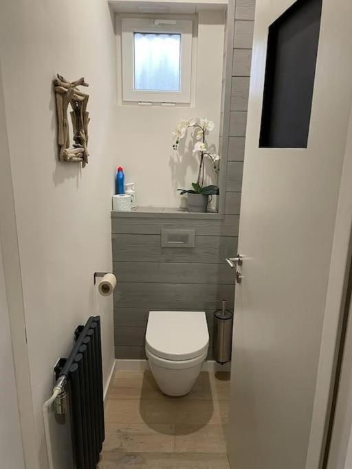 Joli Logement Avec Terrasse La Cigale 6 A 8 Personnes Orbey Zewnętrze zdjęcie